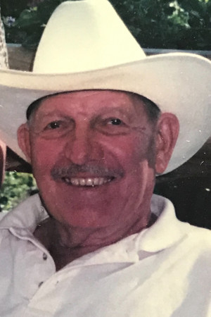 Vernon Joseph Beitz