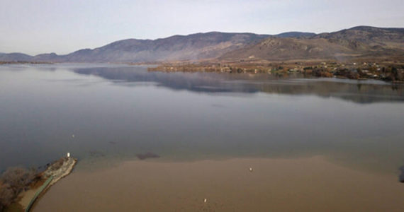 Mary Davisson photo/CCT Fisheries
Muddy water from the Similkameen River that flowed upstream into the Okanogan River contrasts with clear water in Osoyoos Lake. The aerial photograph was taken at 11:15 a.m. on Nov. 17 by Colville Tribal Fisheries Biologist Mary Davisson, at the outlet of Osoyoos Lake to the Okanogan River near Oroville.