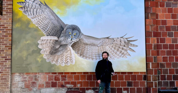 Jen Weddle/submitted photo
Muralist Andy Eccleshall of the Mural Works, Inc. used his talents to create this vision of a Great Gray Owl in flight on the Iron Grill Restuarant. The painting is based on a photograph that Paul Bannick, author of Owl: A Year in the Lives of North American Owls took. This is the second nature-based mural that the Okanogan Highlands Alliance has brought to Tonasket.