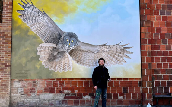 Jen Weddle/submitted photo
Muralist Andy Eccleshall of the Mural Works, Inc. used his talents to create this vision of a Great Gray Owl in flight on the Iron Grill Restuarant. The painting is based on a photograph that Paul Bannick, author of Owl: A Year in the Lives of North American Owls took. This is the second nature-based mural that the Okanogan Highlands Alliance has brought to Tonasket.
