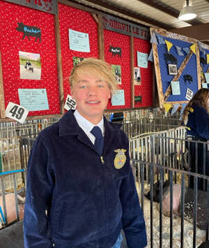 Submitted photo
Oroville FFA member Kane Booker has grown his FFA Student Project into a thriving new business KB Show Hogz.