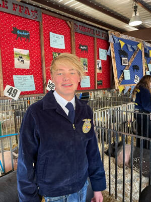Submitted photo
Oroville FFA member Kane Booker has grown his FFA Student Project into a thriving new business KB Show Hogz.