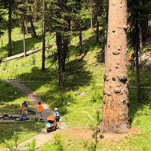 A family enjoying the Big Trees Trail at the USFS Lost Lake Campground during warmer weather.
Gary DeVon/File Photo