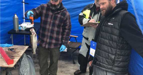 Flynn Glover, from Moses Lake, gets his trout weighed in at the 19th Annual Northwest Ice Fishing Festival held at Sidley Lake near Molson last Saturday, Jan. 14. His fish weighted 2 pounds, three ounces. Taking first place in this year’s competition in the Adult Division was Chris Marcolin. Douglas Vanslyke took first in the Youth Division. The event was sponsored by the Oroville Chamber of Commerce. Read more in this week’s issue of the Gazette-Tribune.
Gary DeVon/staff photo