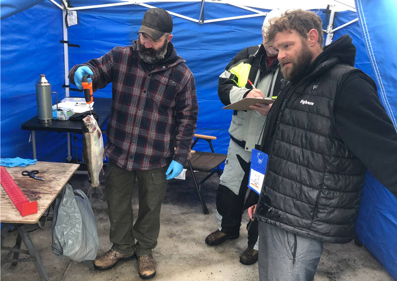 Flynn Glover, from Moses Lake, gets his trout weighed in at the 19th Annual Northwest Ice Fishing Festival held at Sidley Lake near Molson last Saturday, Jan. 14. His fish weighted 2 pounds, three ounces.
<ins>Gary DeVon/staff photo </ins>