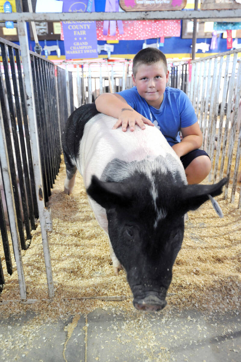 Joel Wilson from Tonasket won a Grand Champion ribbon for his pig Zoey in 2019. Wilson had been exhibiting at the Okanogan County Fair since he was two-years-old.	<em>G-T file photo</em>