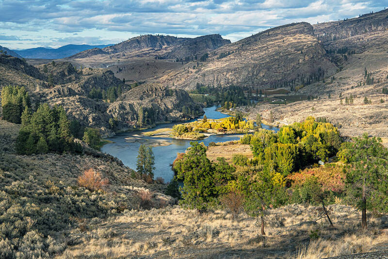 The McLoughlin Falls Ranch property is defined by towering stands of ponderosa pine, grassy benches above the river and dramatic, glacier carved cliffs that rise like sagebrush-covered stair steps along the meandering <em>Okanogan. Ellen Bishop/submitted photo </em>