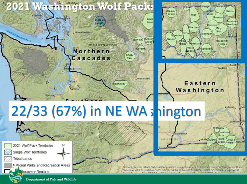 A map showing wolf pack locations within Washington state. The map was presented to the House Agriculture and Natural Resources Committee during a work session on Feb. 1 by the Department of Fish and Wildlife.