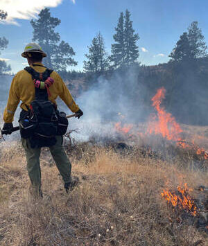 DNR prescribed burn operations will begin in early April and could run through May into early June. Successful implementation of all seven burns will be subject to weather and ground conditions, as well as the availability of personnel and other resources.
<em>DNR photo</em>