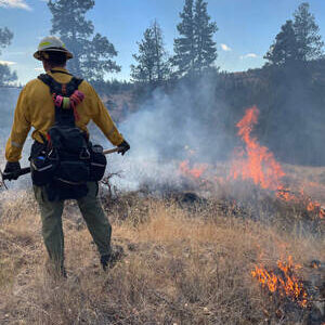 The Washington State DNR and USDA Forest Service are planning a prescribed fire operation on up to 144 acres of land located about 20 miles southeast of Tonasket. DNR photo