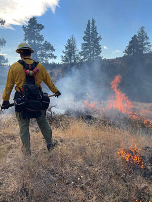 The Washington State DNR and USDA Forest Service are planning a prescribed fire operation on up to 144 acres of land located about 20 miles southeast of Tonasket. DNR photo