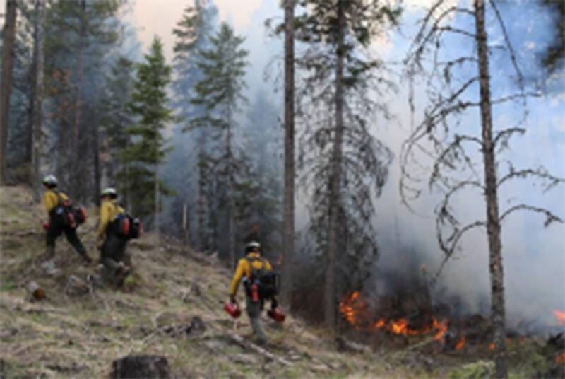Fire crew from the Forest Service and Department of Natural Resources teamed up to do cross-boundary prescribed burning in the Aeneas Valley. Submitted photo
