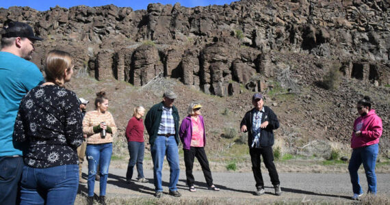 In a photo taken Saturday, April 22, 2023, tribal elder and storyteller Randy Lewis stands in front of the “Singing Rocks” of Moses Coulee, explaining how they absorbed the voices of his people and how those voices can still be heard – if the conditions are right. (Dominick Bonny for Crosscut)