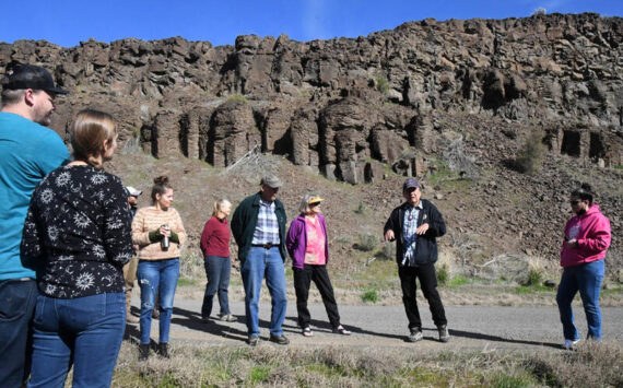 In a photo taken Saturday, April 22, 2023, tribal elder and storyteller Randy Lewis stands in front of the “Singing Rocks” of Moses Coulee, explaining how they absorbed the voices of his people and how those voices can still be heard – if the conditions are right. (Dominick Bonny for Crosscut)