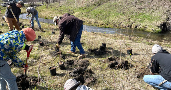 Volunteers help to restore 2.5 miles of Antoine Creek with the Okanogan Conservation District, aided by local ranchers and the Colville Confederated Tribes. Oroville High School students also helped to plant several species of native plants along the creek. <em>Okanogan CD/submitted photo </em>