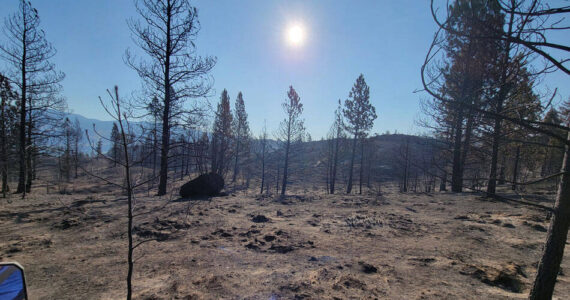 Rocky DeVon/submitted photo
An example of what the fire did on the DeVon Ranch. The fire burned all the grazing land and most of the timber.