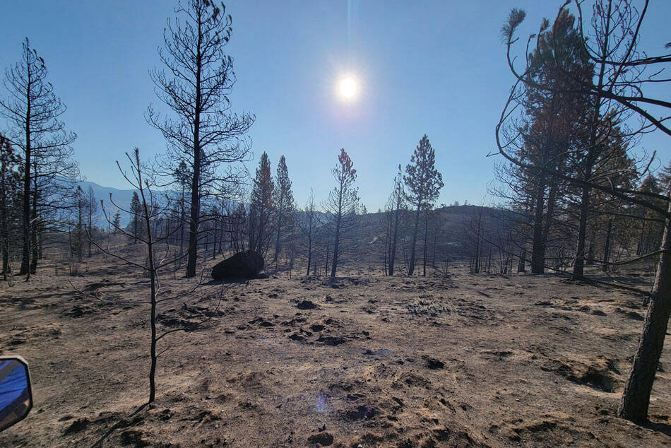 Rocky DeVon/submitted photo
An example of what the fire did on the DeVon Ranch. The fire burned all the grazing land and most of the timber.
