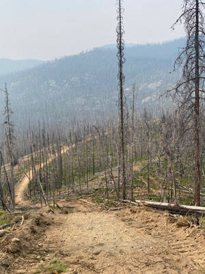 Burn scar with mechanically cut fireline, 2023. USDA Forest Service photo.