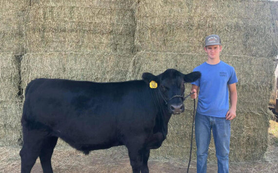 A group of local ranchers approached the sale barn at the Okanogan County Fair with a goal of the miraculous in their hearts and a plan to take young Vance Reese’s feeder steer to $20,000. Kristi Reese/submitted photo