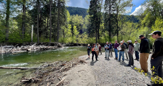 Nason Creek will benefit from the funding with floodplain reconnection through the Chelan County Natural Resources Department. Submitted photo