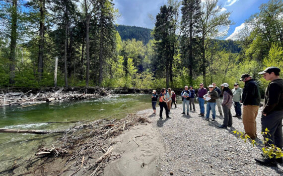 Nason Creek will benefit from the funding with floodplain reconnection through the Chelan County Natural Resources Department. Submitted photo