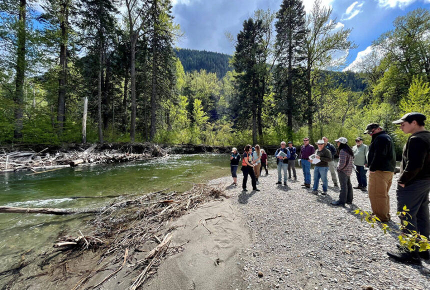 Nearly $4 million officially awarded to our region for salmon recovery