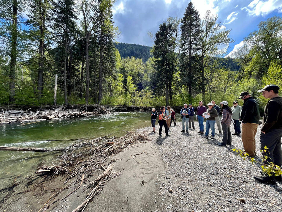 Nason Creek will benefit from the funding with floodplain reconnection through the Chelan County Natural Resources Department. Submitted photo