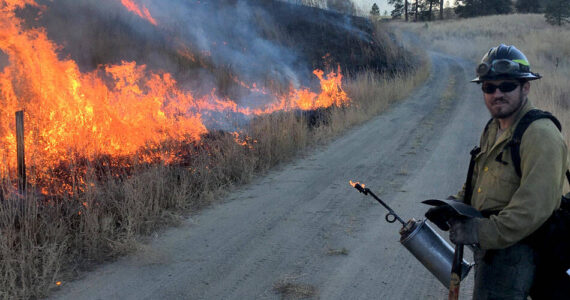 A prescribed burn is monitored by a WDFW crew member.