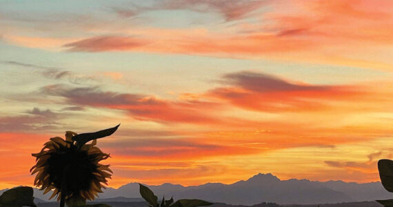 A late night summer sun sets over Puget Sound in West Seattle at 8:44 p.m. WNPA/submitted photo