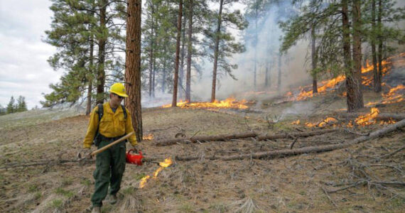 Fire crews working a previous prescribed fire on the Sinlahekin Wildlife Area in the spring of 2022. <em>Photo courtesy WDFW</em>.