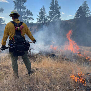 DNR prescribed burn operations will begin in early April and could run through May into early June. Successful implementation of all seven burns will be subject to weather and ground conditions, as well as the availability of personnel and other resources. DNR photo