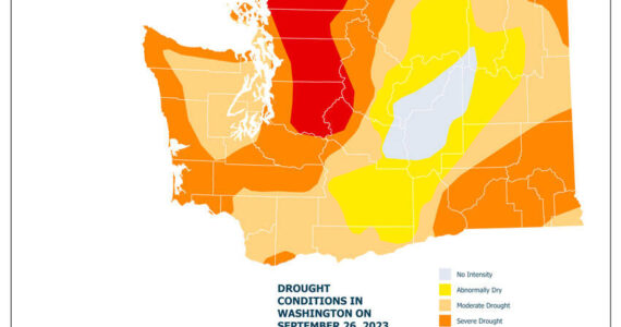 Graphic from the DNR and USFS Forest Health Report showing drought conditions in the state as of September 2023. Source: <em>U.S. Drought Monitor </em>