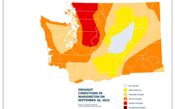 Graphic from the DNR and USFS Forest Health Report showing drought conditions in the state as of September 2023. Source: <em>U.S. Drought Monitor </em>