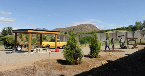 Members of The Oroville Initiative (TOI) plant trees near the newly constructed picnic shelters at the Similkameen Trailhead at the end of Kernan Road last Monday. There are also new trail information kiosks planned at this location and at Oroville’s Triangle Park. <em>Gary De Von/staff photo </em>