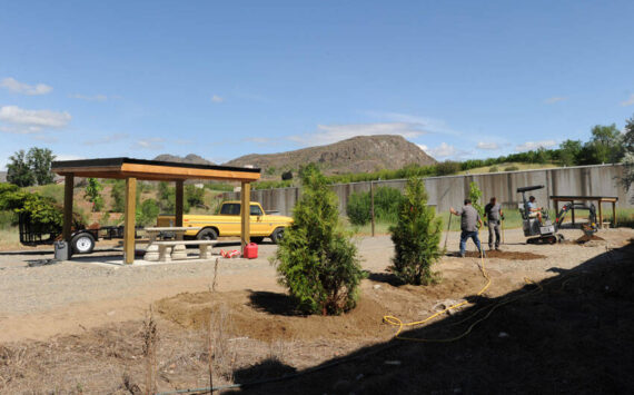 Members of The Oroville Initiative (TOI) plant trees near the newly constructed picnic shelters at the Similkameen Trailhead at the end of Kernan Road last Monday. There are also new trail information kiosks planned at this location and at Oroville’s Triangle Park. <em>Gary De Von/staff photo </em>