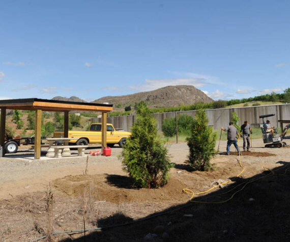 Members of The Oroville Initiative (TOI) plant trees near the newly constructed picnic shelters at the Similkameen Trailhead at the end of Kernan Road last Monday. There are also new trail information kiosks planned at this location and at Oroville’s Triangle Park. <em>Gary De Von/staff photo </em>