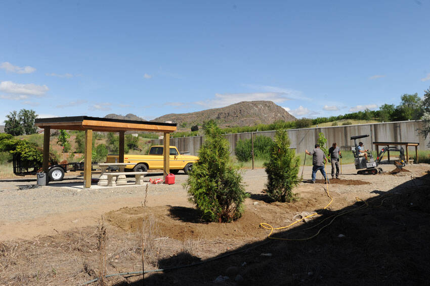 Members of The Oroville Initiative (TOI) plant trees near the newly constructed picnic shelters at the Similkameen Trailhead at the end of Kernan Road last Monday. There are also new trail information kiosks planned at this location and at Oroville’s Triangle Park. <em>Gary De Von/staff photo </em>