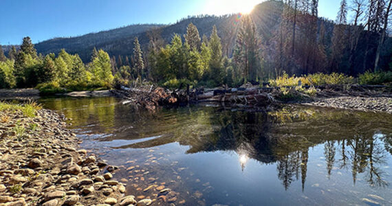 The DNR Post-Fire Recovery Program works with partners to restore aquatic and beaver habitats in burned areas like the one pictured above. <em>Photo Jessa Lewis/DNR</em>