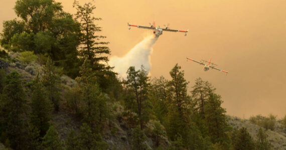 Gary DeVon/GT file photo The Eagled Bluff fire photo that took first place at the Washington Newspaper Publishers Association convention. Gary DeVon/GT file photo