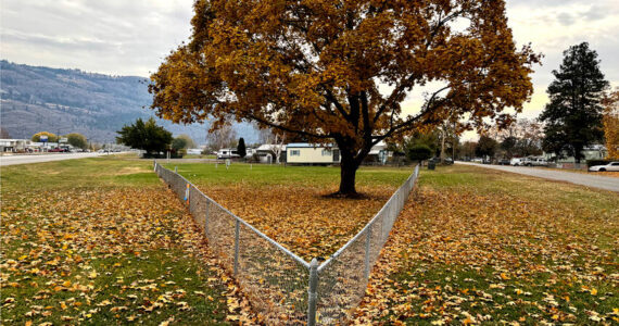 Oroville Housing Authority (OHA) had its Conditional Use Permit approved by the Oroville City Council at their Nov. 5 meeting. The OHA is bringing its multi-family housing and RV park into compliance with the city’s municipal codes. <em>Gary De Von/staff photo </em>