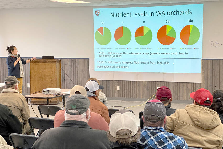 Bernardita Sallato, with WSU Extension, spoke on apple and cherry fertility and “Getting the most bang for your buck.” Gary De Von/staff photos