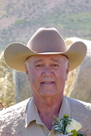 Roger Sawyer