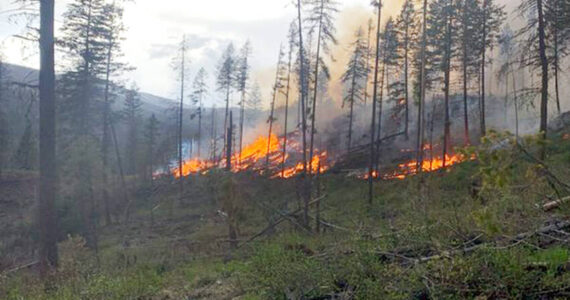 The USFS uses prescribed fires to help reduce overgrown vegetation and hazardous forest fuels to help protect local communities, infrastructure and natural resources from wildfires.. USFS photo