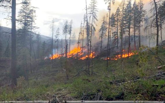 The USFS uses prescribed fires to help reduce overgrown vegetation and hazardous forest fuels to help protect local communities, infrastructure and natural resources from wildfires.. USFS photo