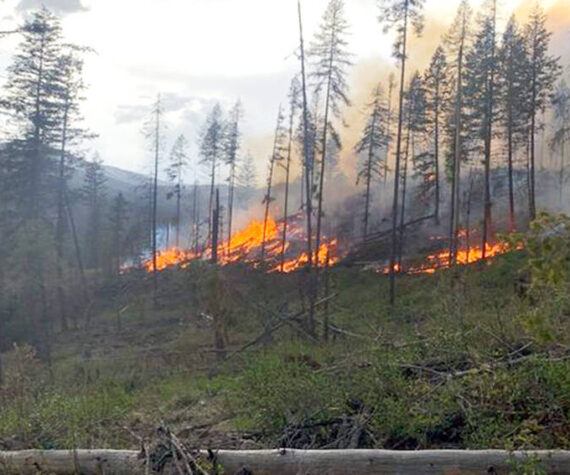 The USFS uses prescribed fires to help reduce overgrown vegetation and hazardous forest fuels to help protect local communities, infrastructure and natural resources from wildfires.. USFS photo