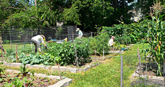 Okanogan County Community Action Council's Harvesting Hope Community Garden initiative is growing across Okanogan County!. These gardens are more than just places to grow fresh produce—they’re spaces for learning, connection, and empowerment. Each garden is built with the local community in mind, reflecting the traditions, cultures and needs of the people who use them. OCOCA photo