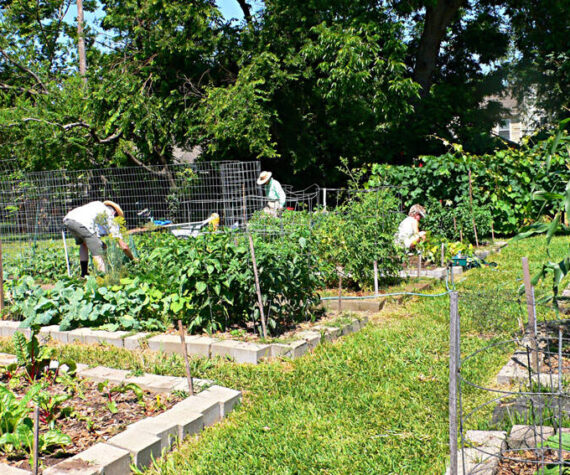 Okanogan County Community Action Council's Harvesting Hope Community Garden initiative is growing across Okanogan County!. These gardens are more than just places to grow fresh produce—they’re spaces for learning, connection, and empowerment. Each garden is built with the local community in mind, reflecting the traditions, cultures and needs of the people who use them. OCOCA photo