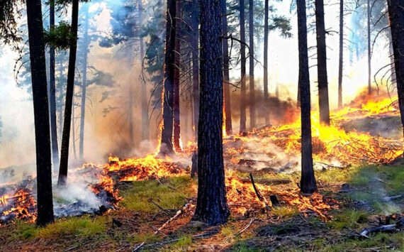 Source: U.S. Forest Service