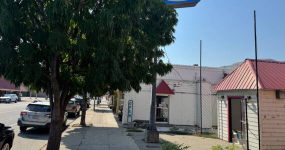 The trees the council is being asked to remove are at 1422 Main, which last housed the 49° North Art Gallery. The building has a long history as a restaurant and lounge under several names. The word “lounge” is about all that can be seen of the old business sign, which the new owners want to change to advertise their businesses. Gary De Von/staff photo