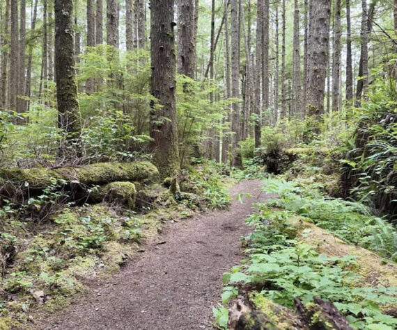 WA Forest Practices Board approves new rule restricting timber harvests